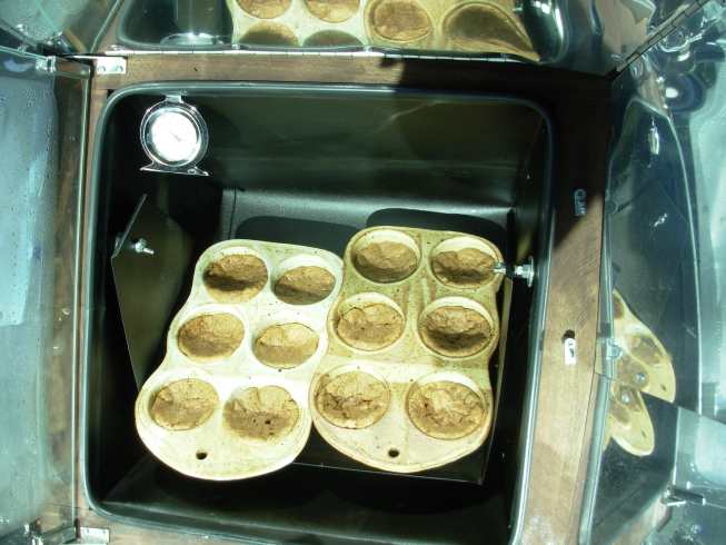 Muffin Tins